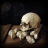 Části lidských kostí a lebka